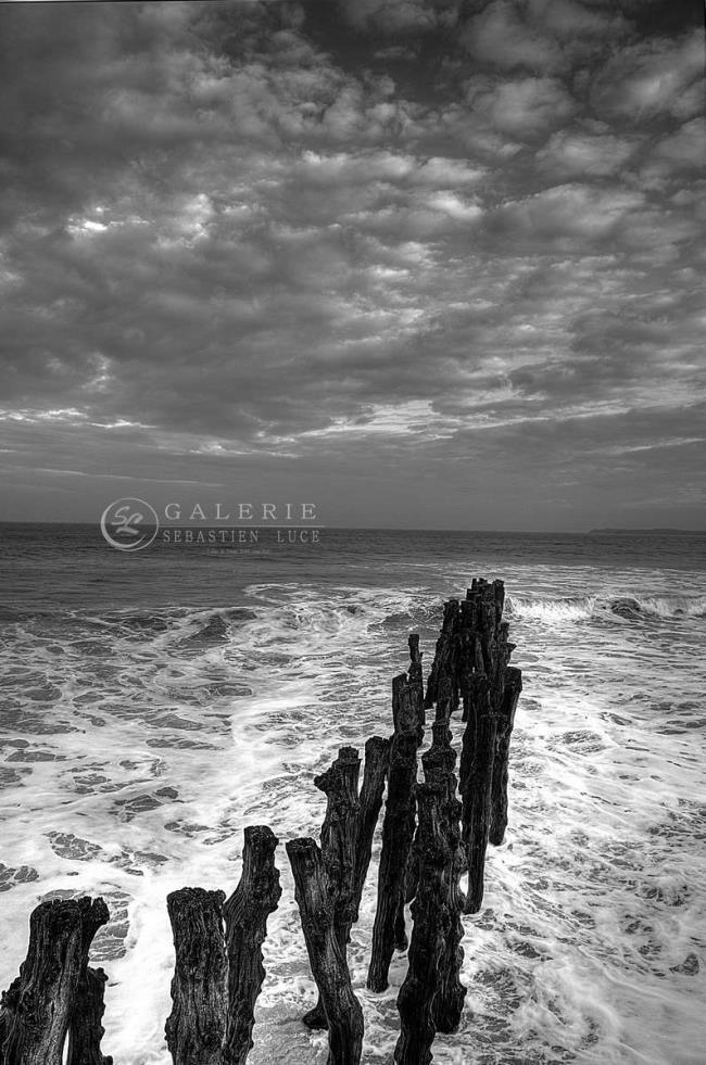 Saint Malo Vivier Marin - Photographie Photographies par thématiques Galerie Sébastien Luce