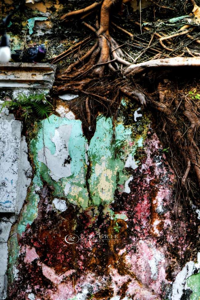 baiser immortel - cuba - Photographie Photographies d'art en édition limitée Galerie Sébastien Luce