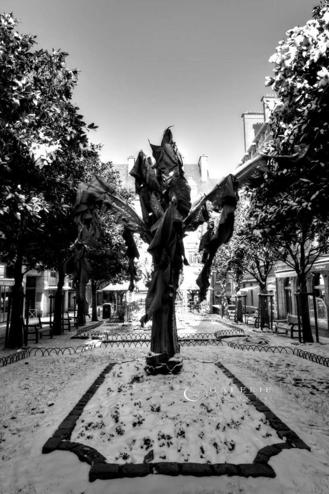 Arbre de ville - Saint Malo  - Photographie Photographies d'art en édition limitée Galerie Sébastien Luce