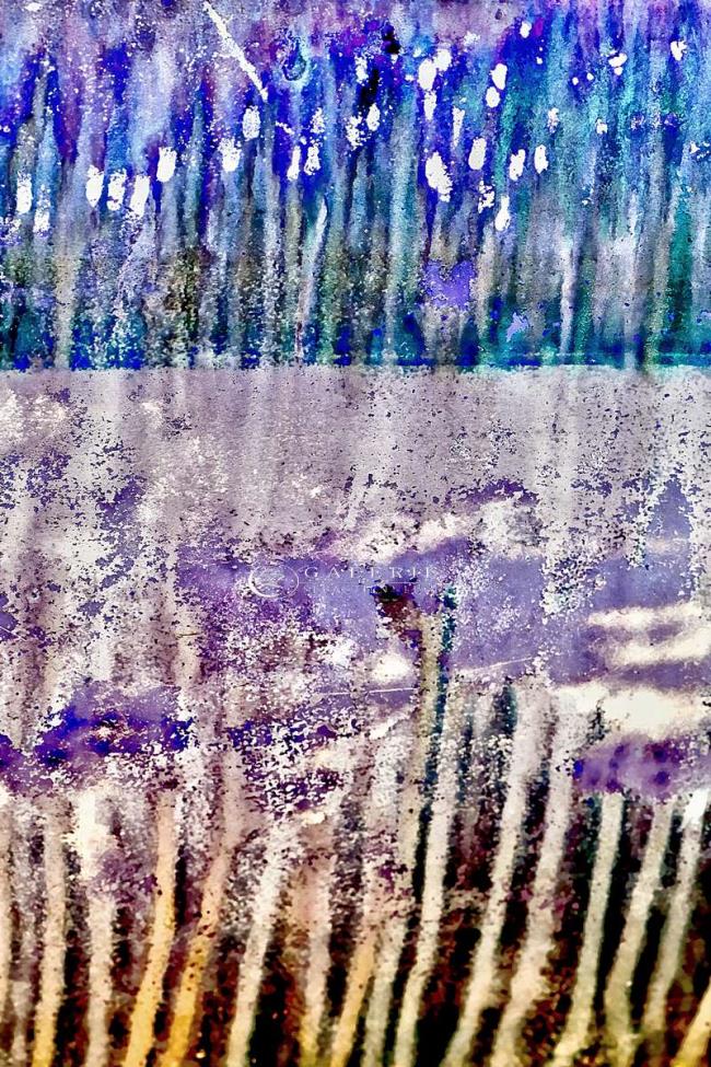 marine art  - Photographie Photographies d'art en édition limitée Galerie Sébastien Luce