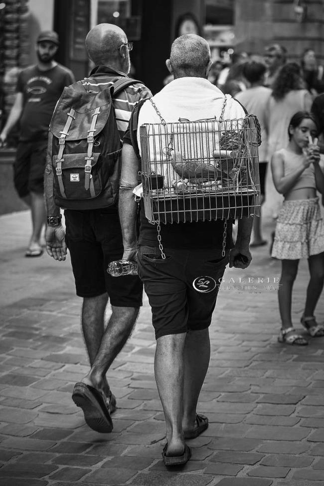 Mon Truc en Plumes - Saint Malo  - Photographie Photographies d'art en édition limitée Galerie Sébastien Luce