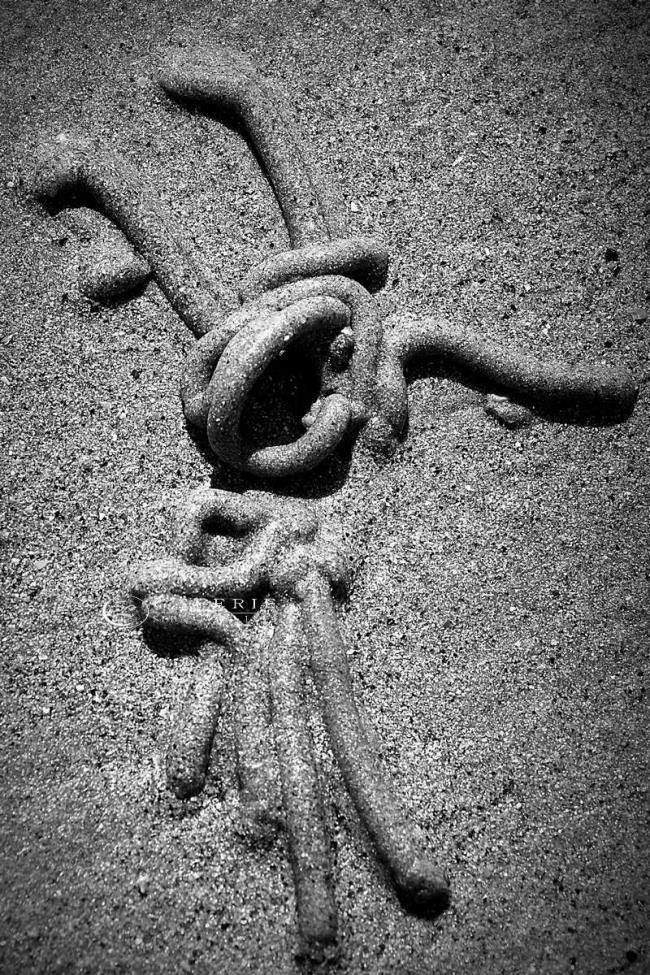 Danseur Malouin  - Photographie Photographies d'art en édition limitée Galerie Sébastien Luce