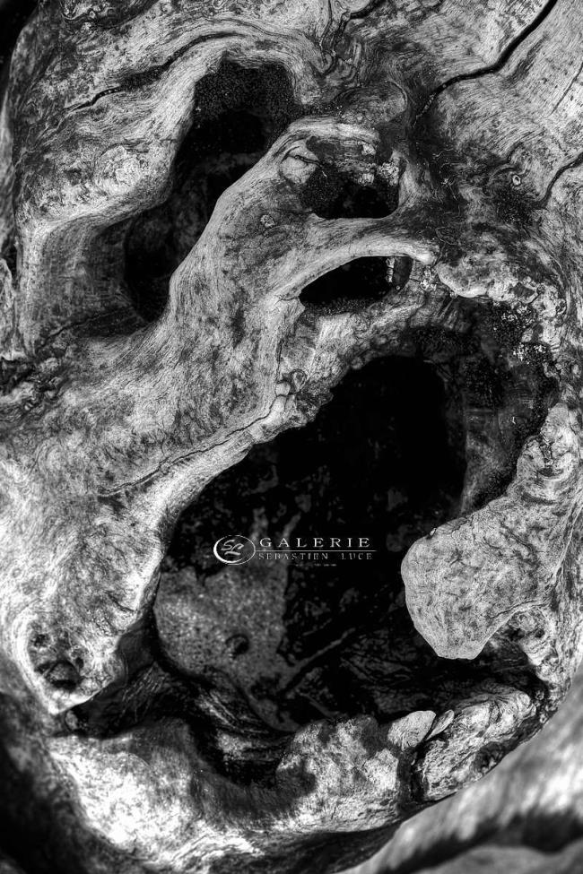 cri de l âme - saint malo - Photographie Photographies par thématiques Galerie Sébastien Luce