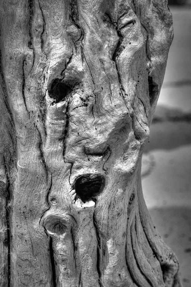 portrait maritime - Photographie Photographies d'art en édition limitée Galerie Sébastien Luce