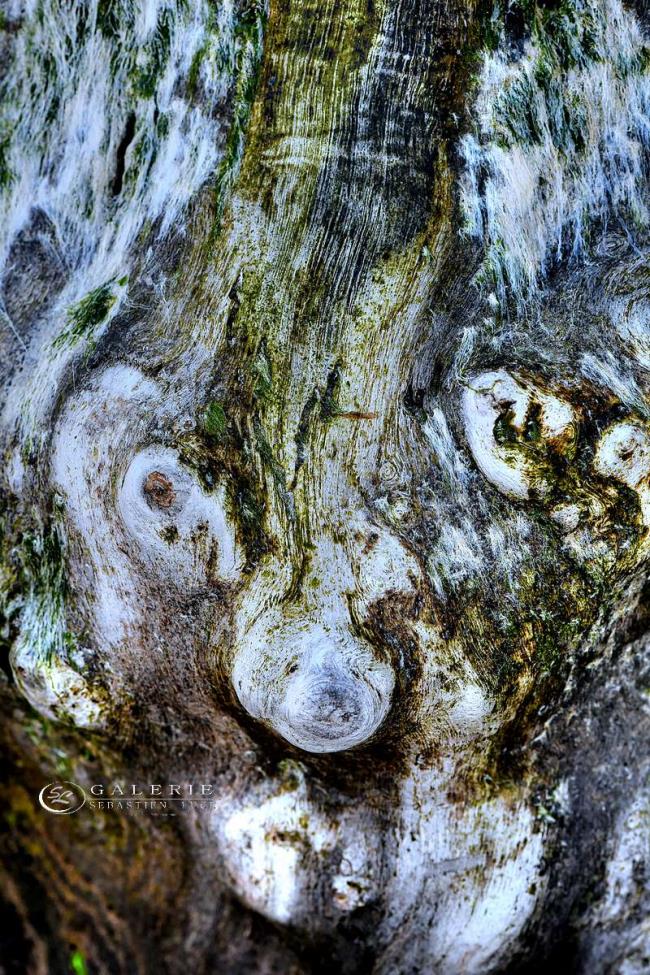 portrait de brise-lames - Photographie Photographies d'art en édition limitée Galerie Sébastien Luce