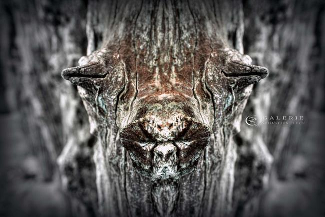 portrait de brise-lames - saint malo  - Photographie Photographies d'art en édition limitée Galerie Sébastien Luce