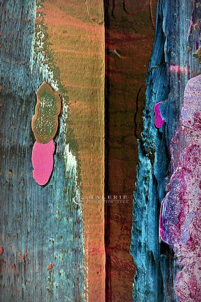 Ecailles de coque - Saint Malo  - Photographie Photographies d'art en édition limitée Galerie Sébastien Luce