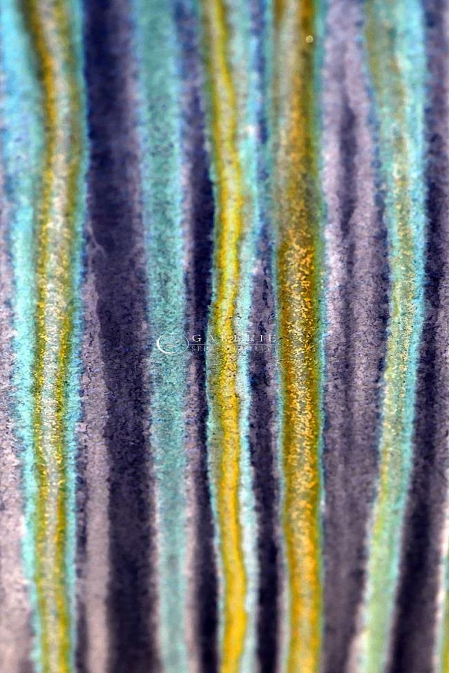 Larmes de sel  - Photographie Photographies d'art en édition limitée Galerie Sébastien Luce