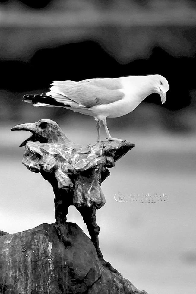 L´Oeuvre et son Modèle - Dinard - Photographie Photographies par thématiques Galerie Sébastien Luce