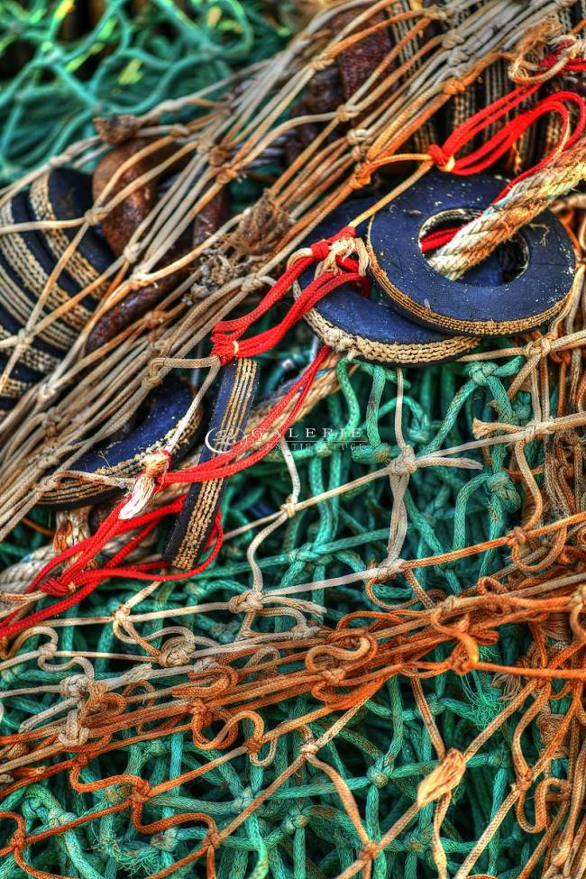 entre les mailles du filet  - Photographie Photographies d'art en édition limitée Galerie Sébastien Luce