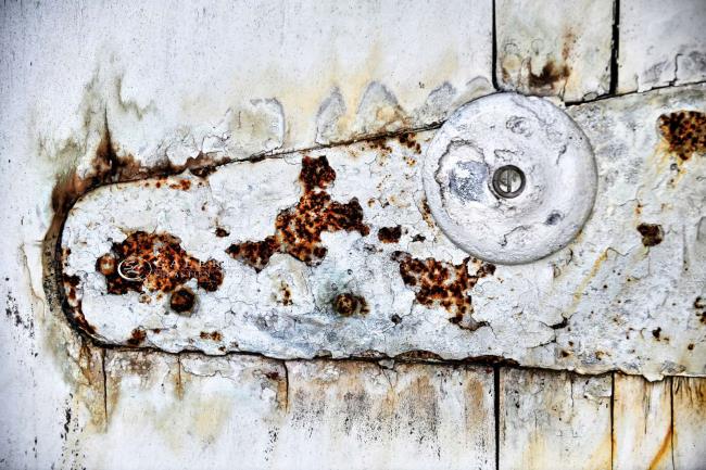 Crocodile - st malo  - Photographie Photographies d'art en édition limitée Galerie Sébastien Luce