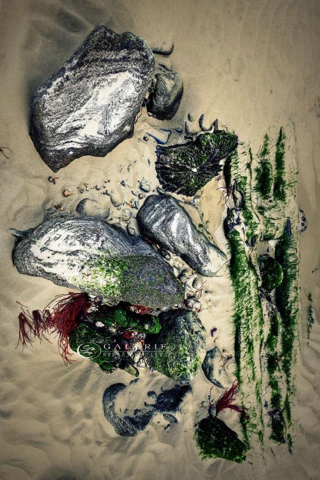 Minéral Nature - Saint Malo - Photographie Photographies d'art en édition limitée Galerie Sébastien Luce