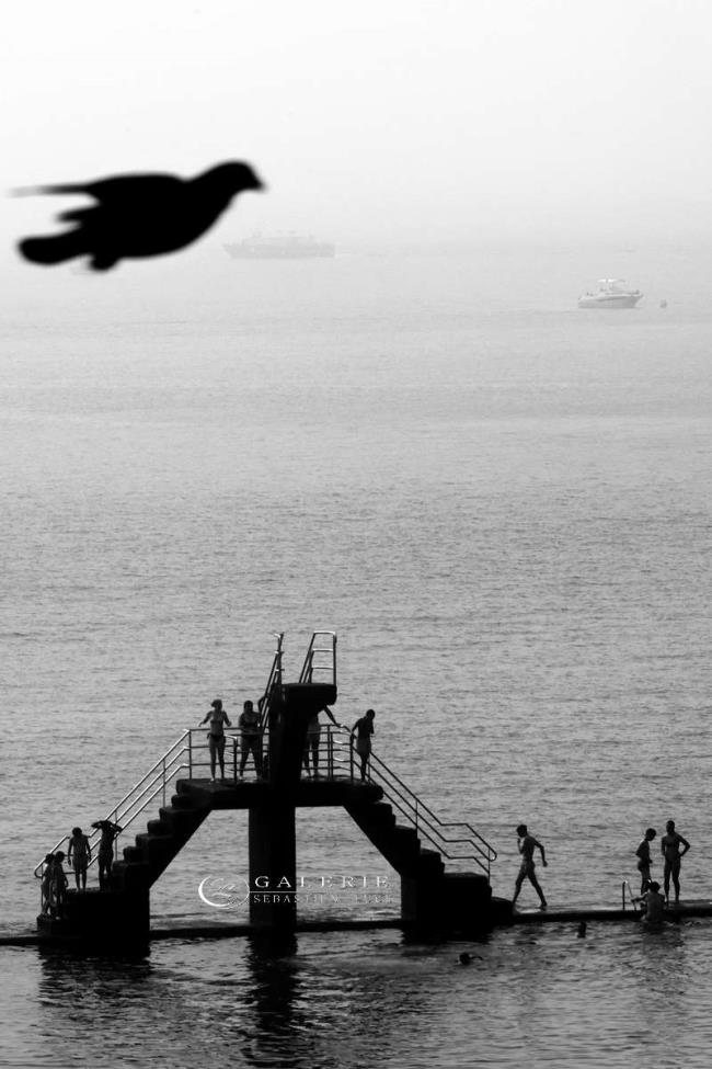 L´envol - Saint Malo - Photographie Photographies par thématiques Galerie Sébastien Luce