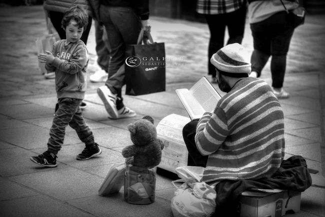 petit ours brun - saint malo - Photographie Photographies par thématiques Galerie Sébastien Luce