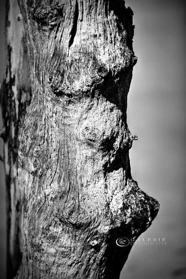 l´appel du large-st malo  - Photographie Photographies d'art en édition limitée Galerie Sébastien Luce