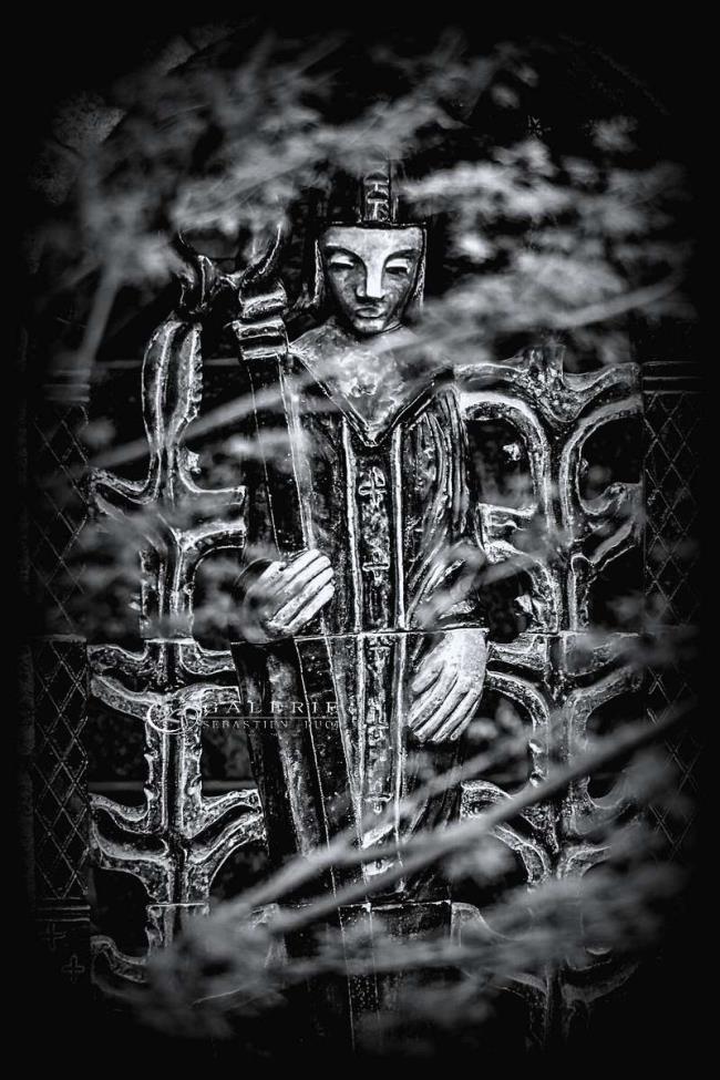 Gardien du jardin des rêves -st malo - Photographie Photographies par thématiques Galerie Sébastien Luce