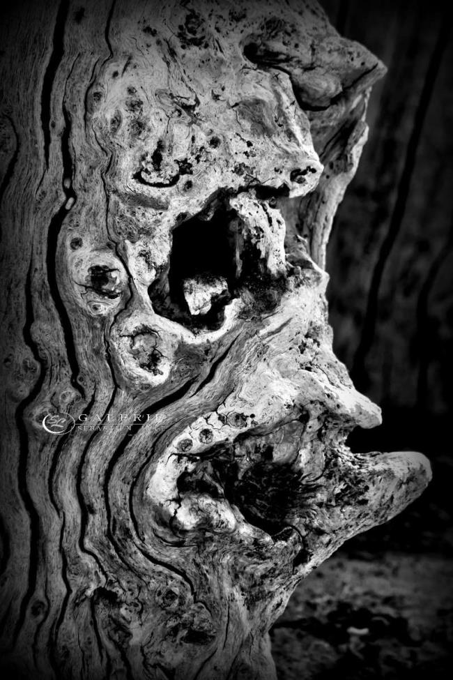 De profil  - Saint Malo  - Photographie Photographies d'art en édition limitée Galerie Sébastien Luce