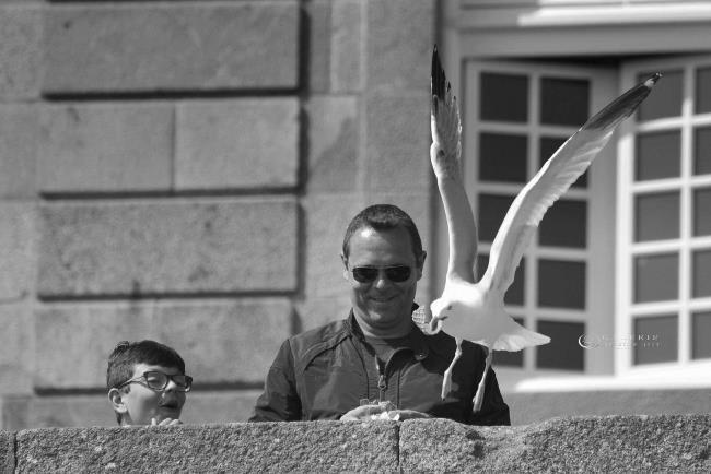 Le Voleur d´intra - Saint Malo - Photographie Photographies par thématiques Galerie Sébastien Luce