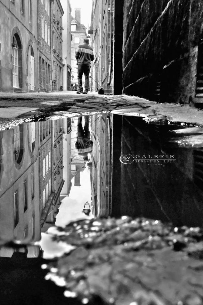 animal de compagnie - st malo - Photographie Photographies par thématiques Galerie Sébastien Luce