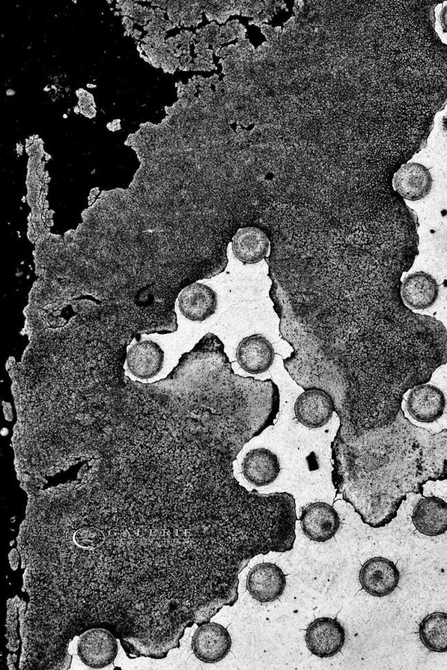 plasma de rue - Photographie Photographies d'art en édition limitée Galerie Sébastien Luce