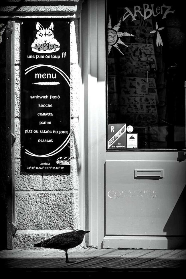 une faim de loup - saint malo - Photographie Photographies d'art en édition limitée Galerie Sébastien Luce