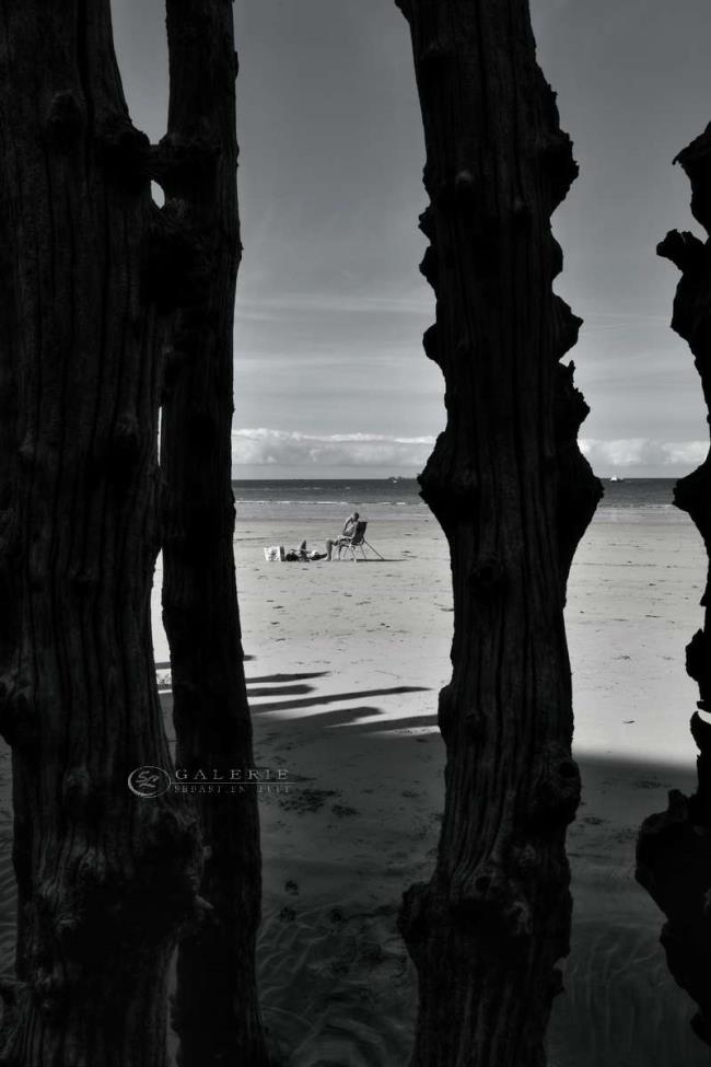 rideau de bois - Saint Malo - Photographie Photographies par thématiques Galerie Sébastien Luce