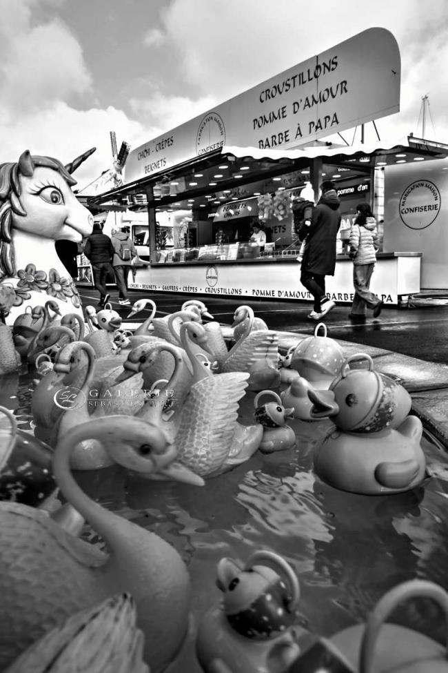 Mon petit canard - saint malo - Photographie Photographies par thématiques Galerie Sébastien Luce