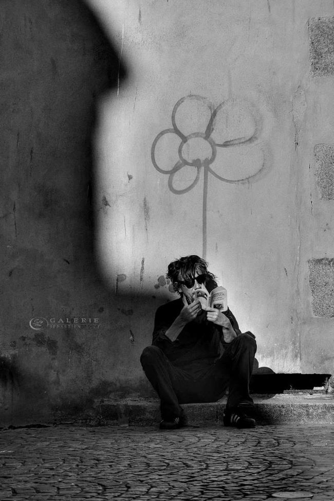 A fleur de peau - saint malo - Photographie Photographies d'art en édition limitée Galerie Sébastien Luce