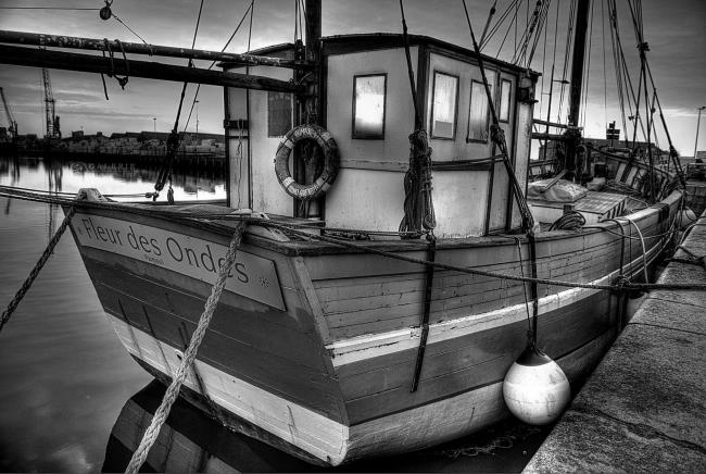 Fleur des ondes - Saint Malo - Photographie Photographies par thématiques Galerie Sébastien Luce