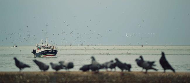 retour au port - Photographie Photographies d'art en édition limitée Galerie Sébastien Luce
