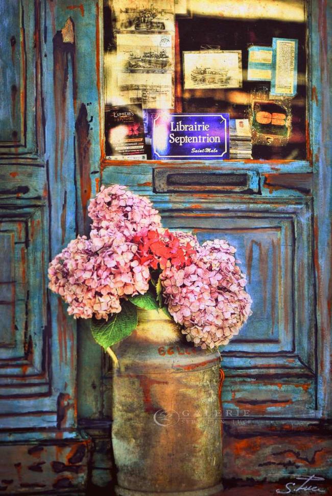 Hortensias - saint malo - Photographie Photographies d'art en édition limitée Galerie Sébastien Luce