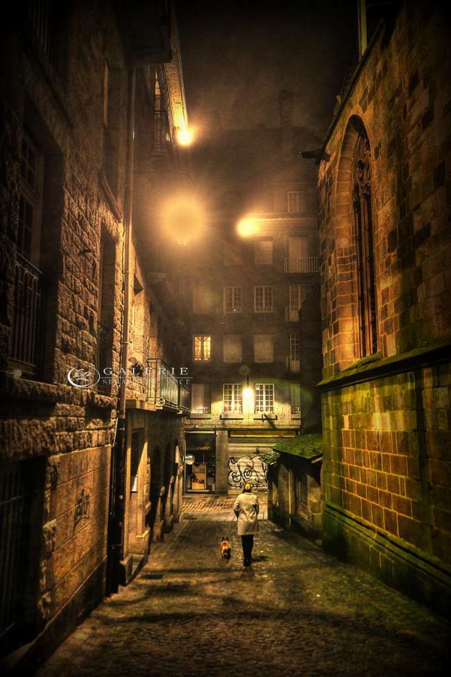fidèle compagnon - st malo - Photographie Photographies d'art en édition limitée Galerie Sébastien Luce