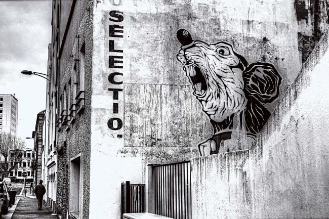 Rat des villes - Photographie Photographies par thématiques Galerie Sébastien Luce