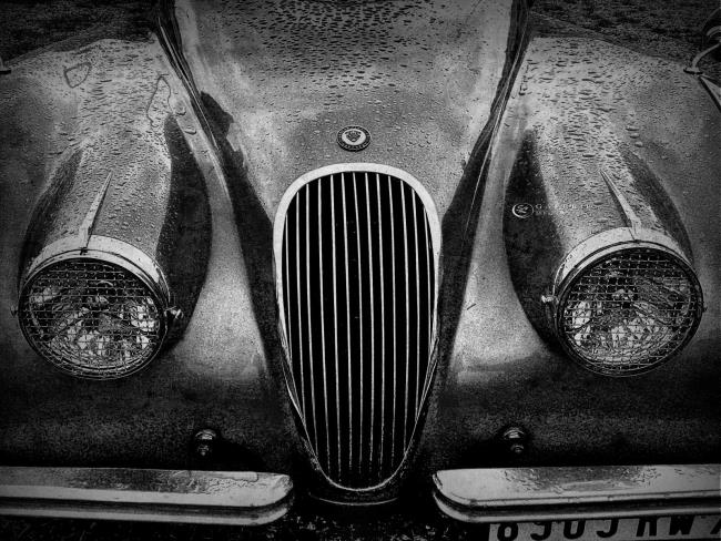 jaguar - Vintage - Photographie Photographies d'art en édition limitée Galerie Sébastien Luce